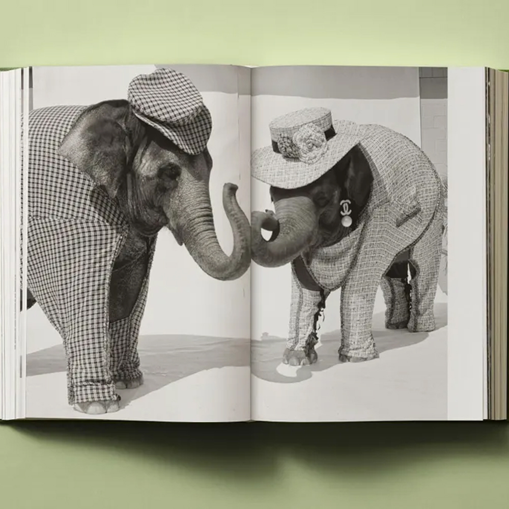 Книга в подарок творческий путь Брюса Вебера Bruce Weber. My Education