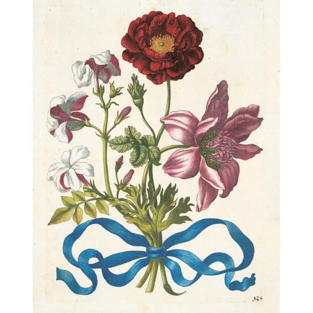 Книга цветов 22 постера Maria Sibylla Merian: 22 Pull-Out Posters