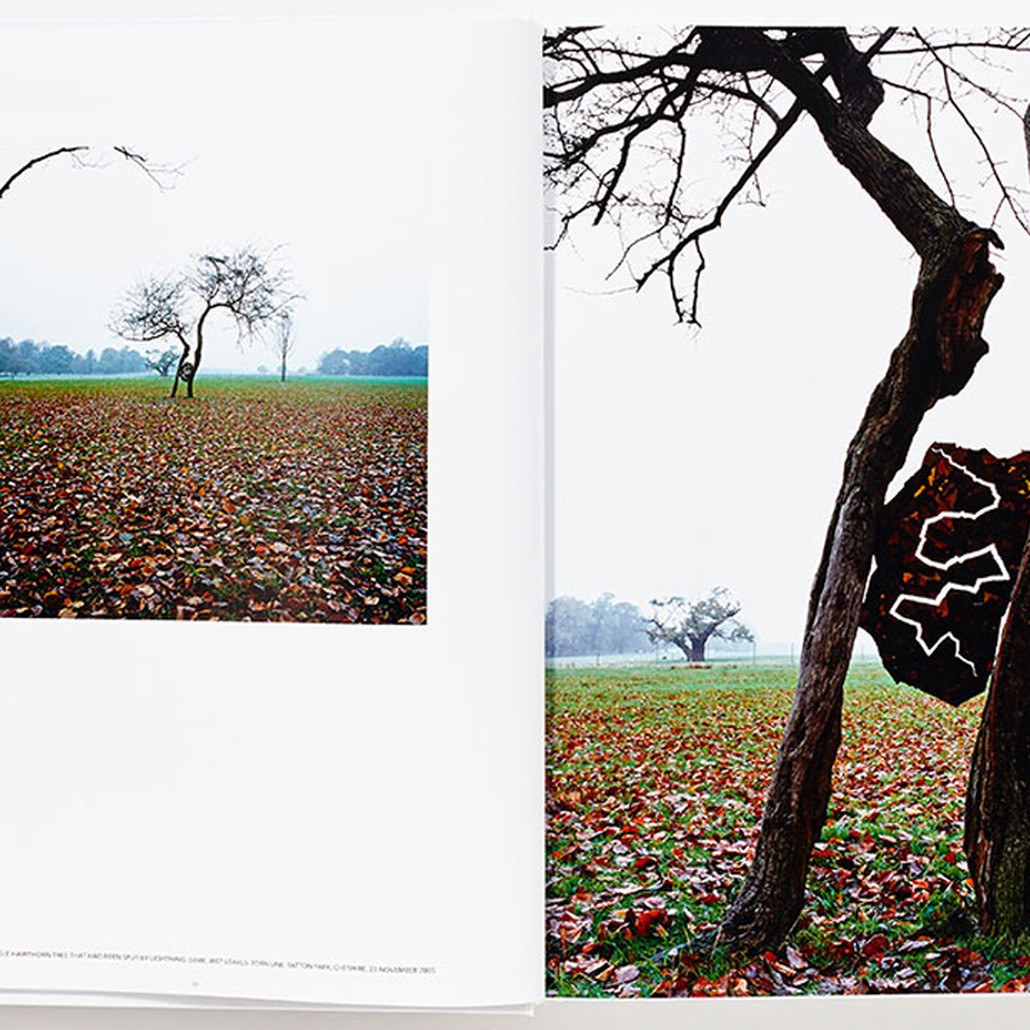 Книга Энди Голдзуорти Andy Goldsworthy: Ephemeral Works: 2004-2014