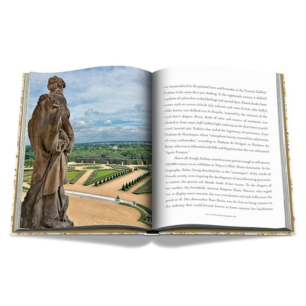 Коллекционная редкая книга Версаль. От Людовика XIV до Джеффа Кунса. Versailles From Louis XIV to Jeff Koons