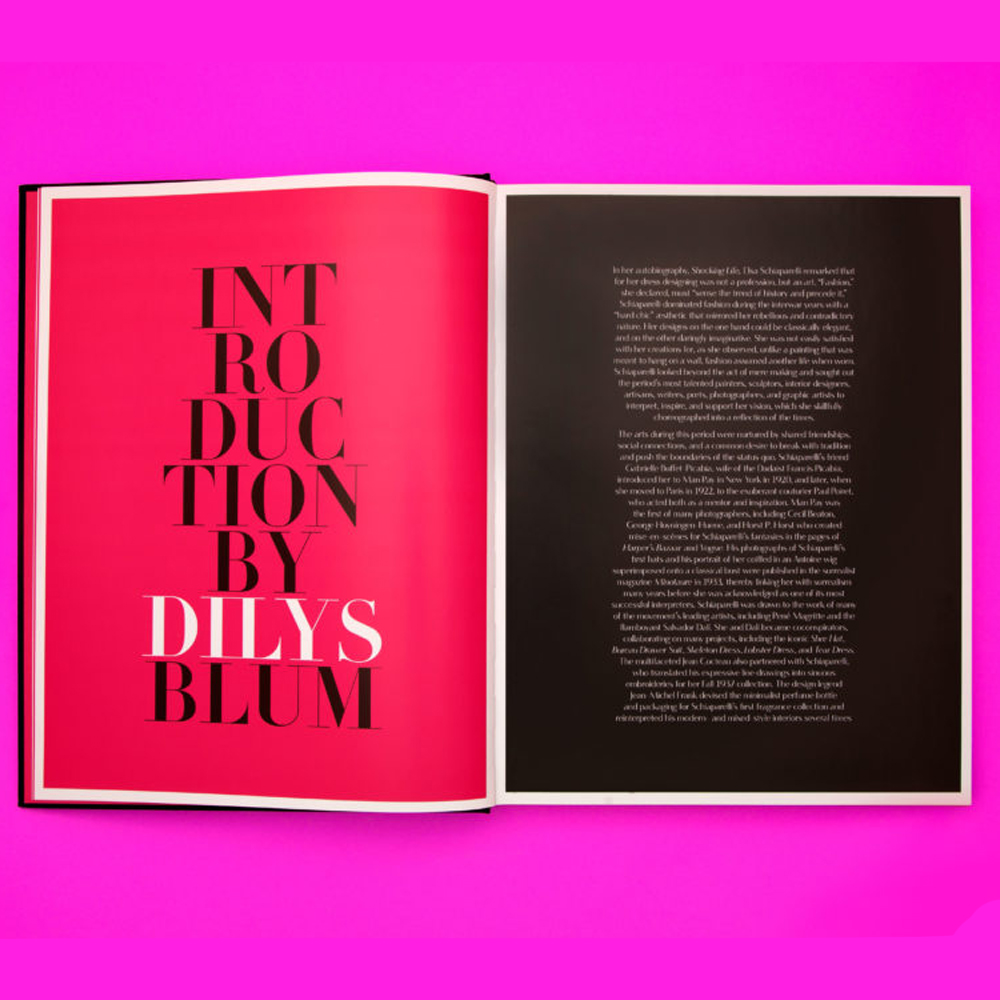 Коллекционный альбом Schiaparelli and the Artists