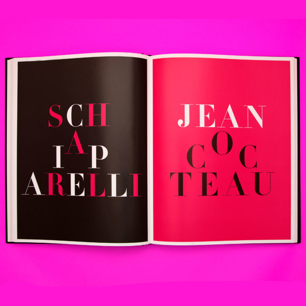 Коллекционный альбом Schiaparelli and the Artists