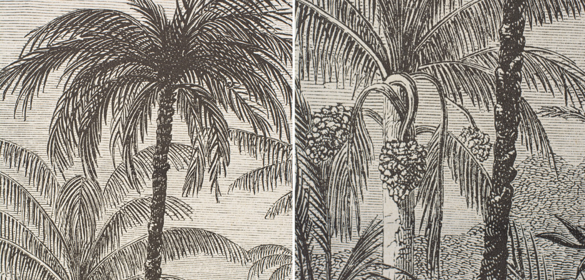 Комплект из 3-х постеров Тропический Лес