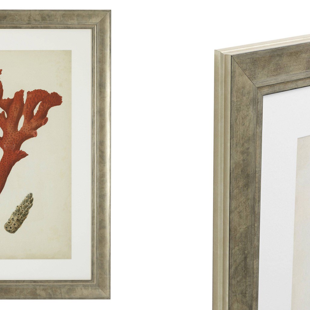 Комплект постеров Eichholtz Prints Antique Red Corals set of 6