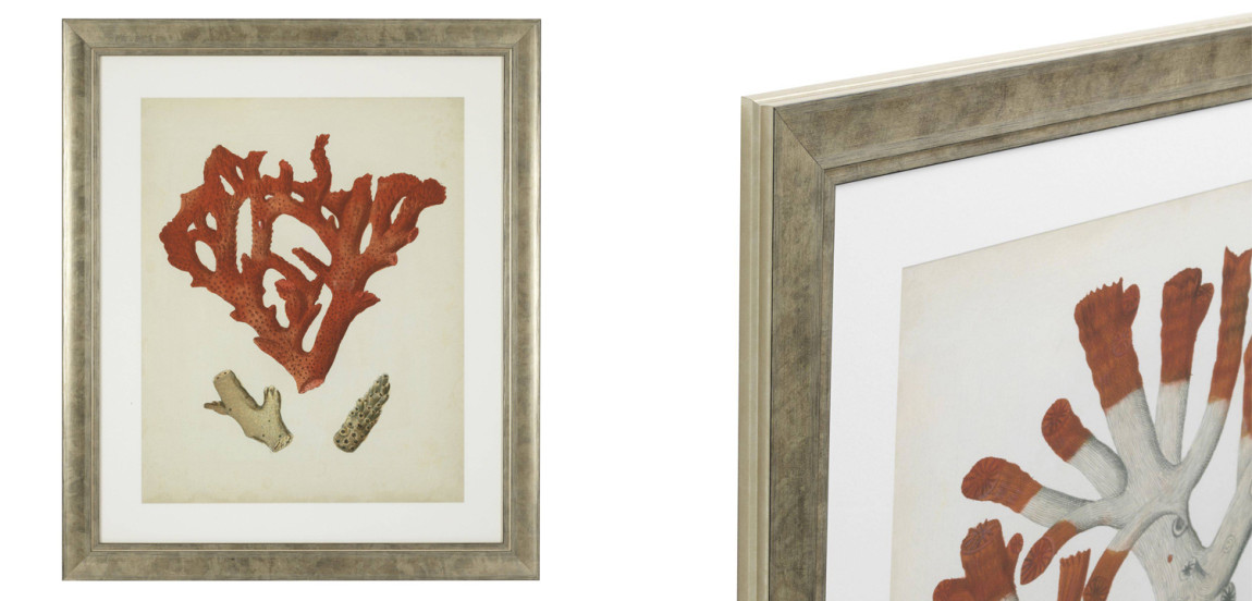 Комплект постеров Eichholtz Prints Antique Red Corals set of 6