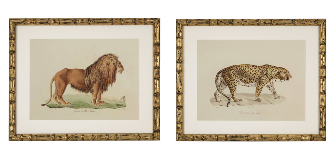 Комплект постеров Eichholtz Prints Lion Tigre Jaguar set of 6