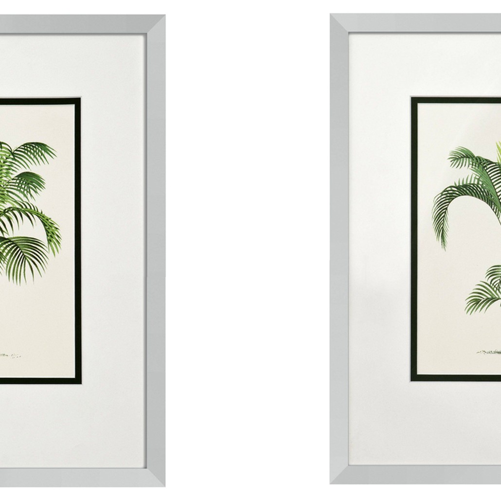 Комплект постеров Eichholtz Prints Palms set of 4