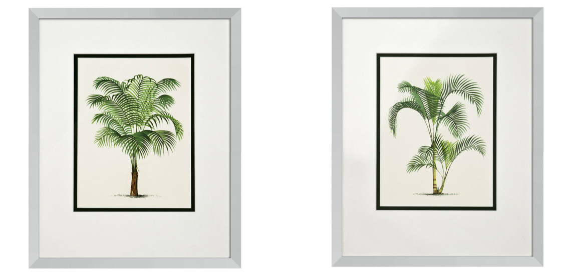 Комплект постеров Eichholtz Prints Palms set of 4