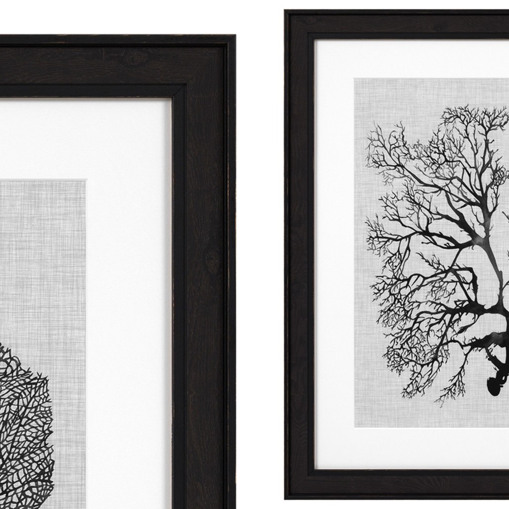 Комплект постеров Eichholtz Prints Shadow Sea Fans set of 4
