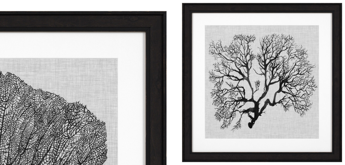 Комплект постеров Eichholtz Prints Shadow Sea Fans set of 4