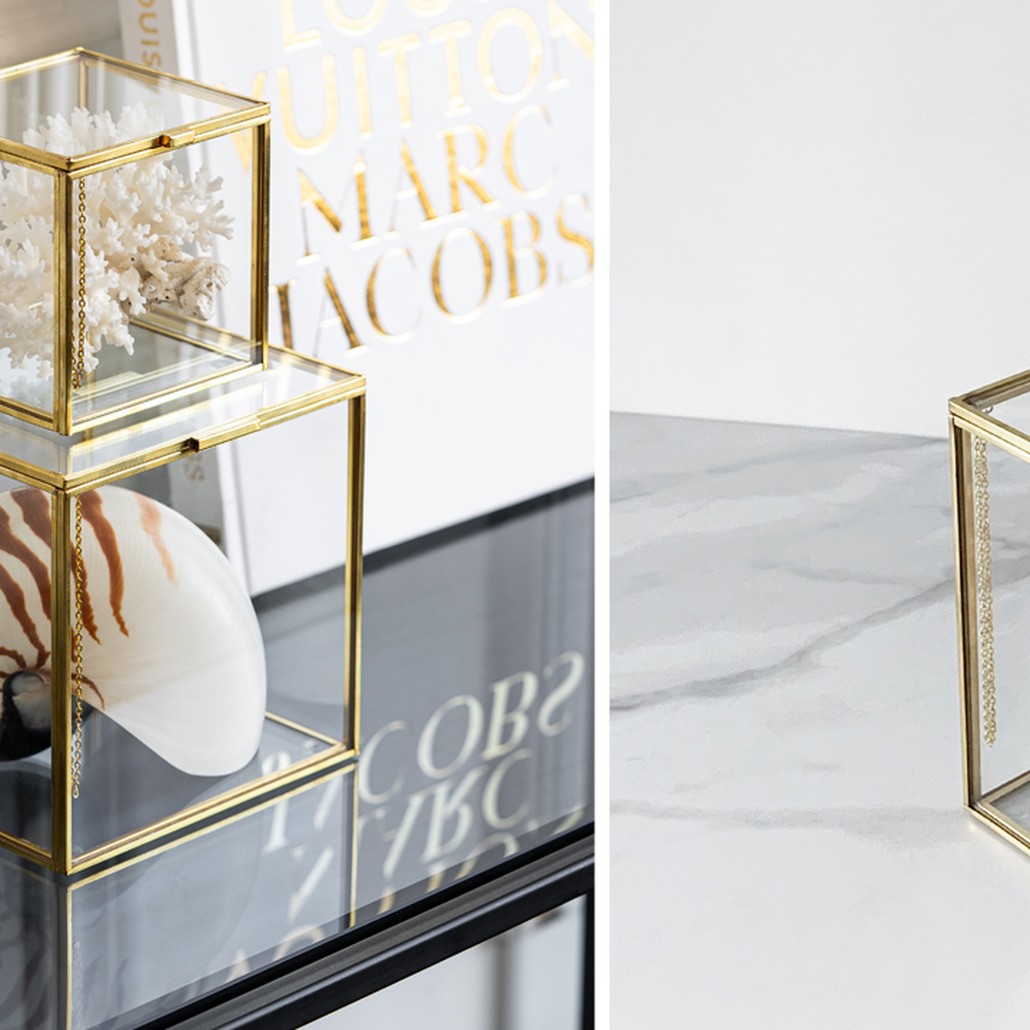 Комплект статуэток Natural Coral & Nautilus Pompilius Glass Box