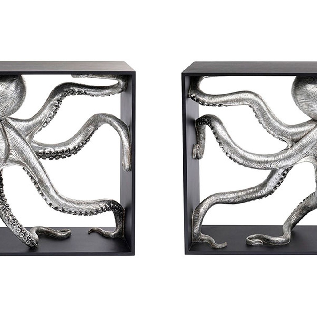 Консоль Дофлейна Doflein's octopus