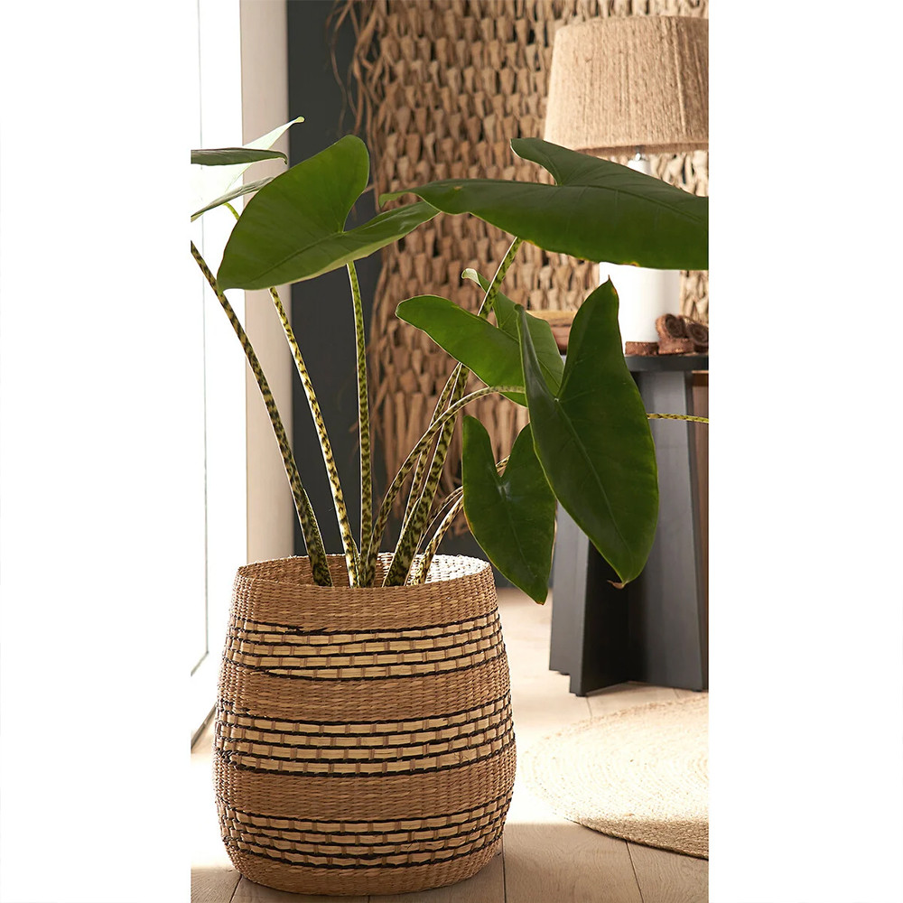 Круглая корзина из плетеного тростника Marjani Wicker Basket