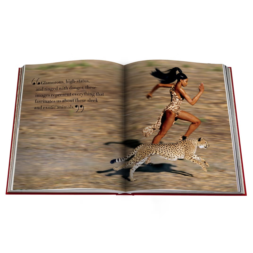 Лимитированная подарочная большая книга CARTIER Panthère