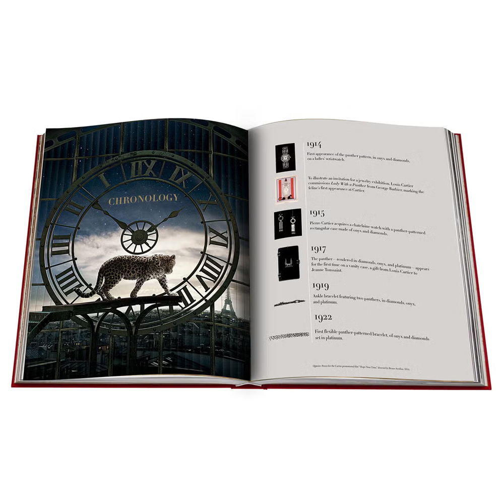 Лимитированная подарочная большая книга CARTIER Panthère
