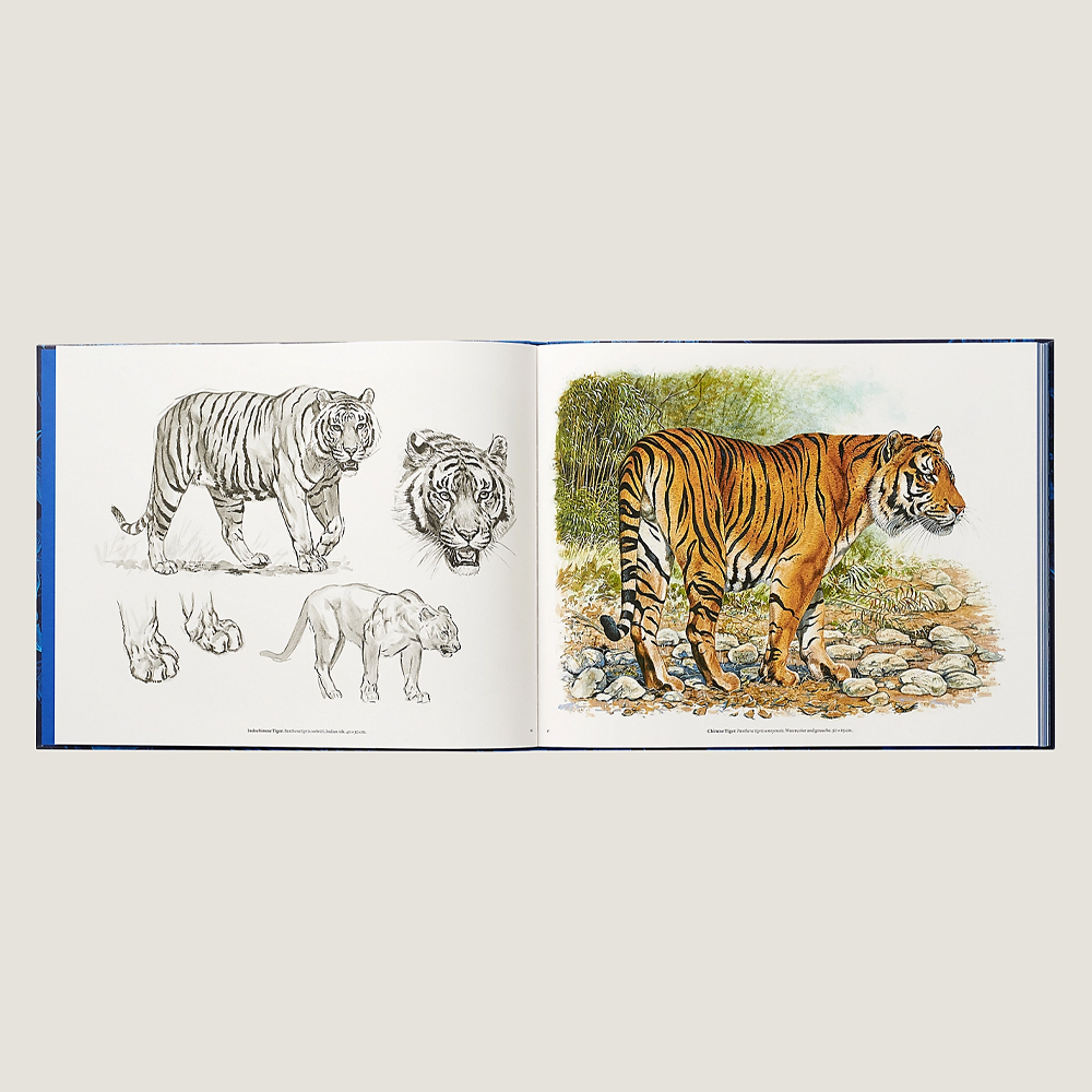 Лимитированная подарочная книга HERMES Fierce and Fragile book, English version