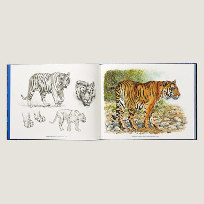 Лимитированная подарочная книга HERMES Fierce and Fragile book, English version