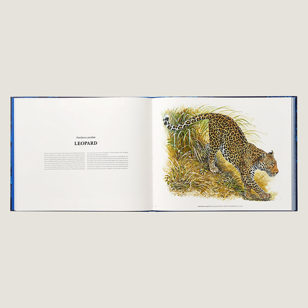 Лимитированная подарочная книга HERMES Fierce and Fragile book, English version