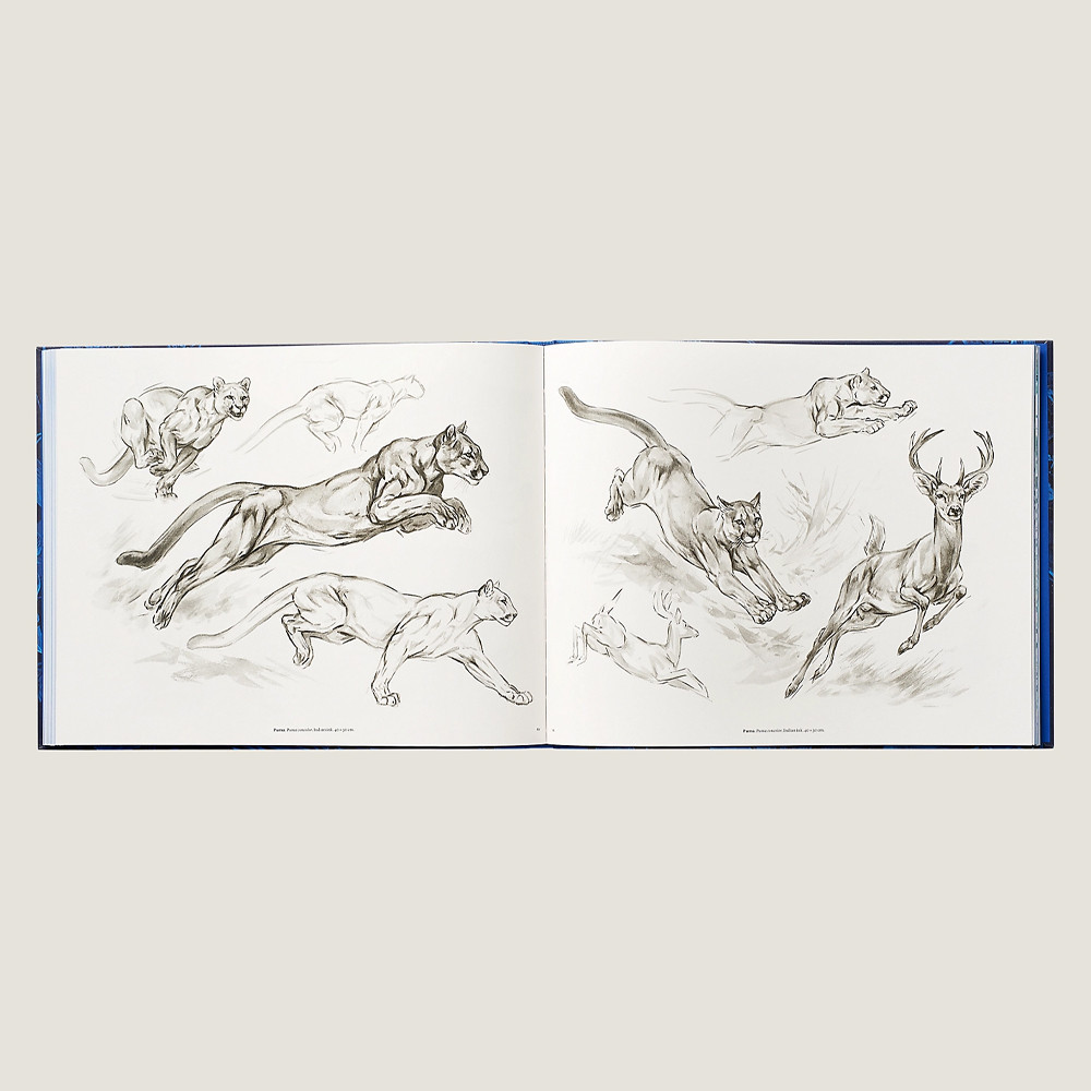 Лимитированная подарочная книга HERMES Fierce and Fragile book, English version