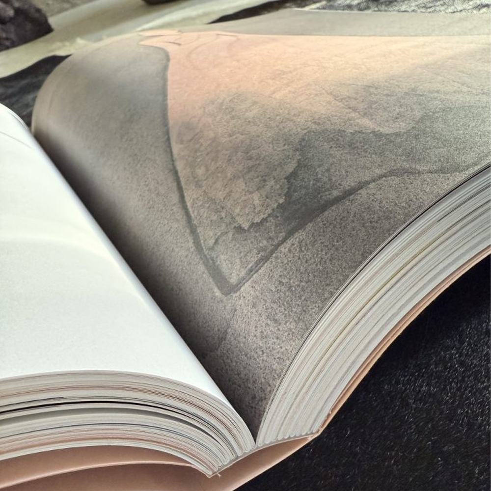 Лимитированное издание Иллюстрации модного дома Book: Dior par Mats Gustafson Vol. II Maria Grazia Chiuri