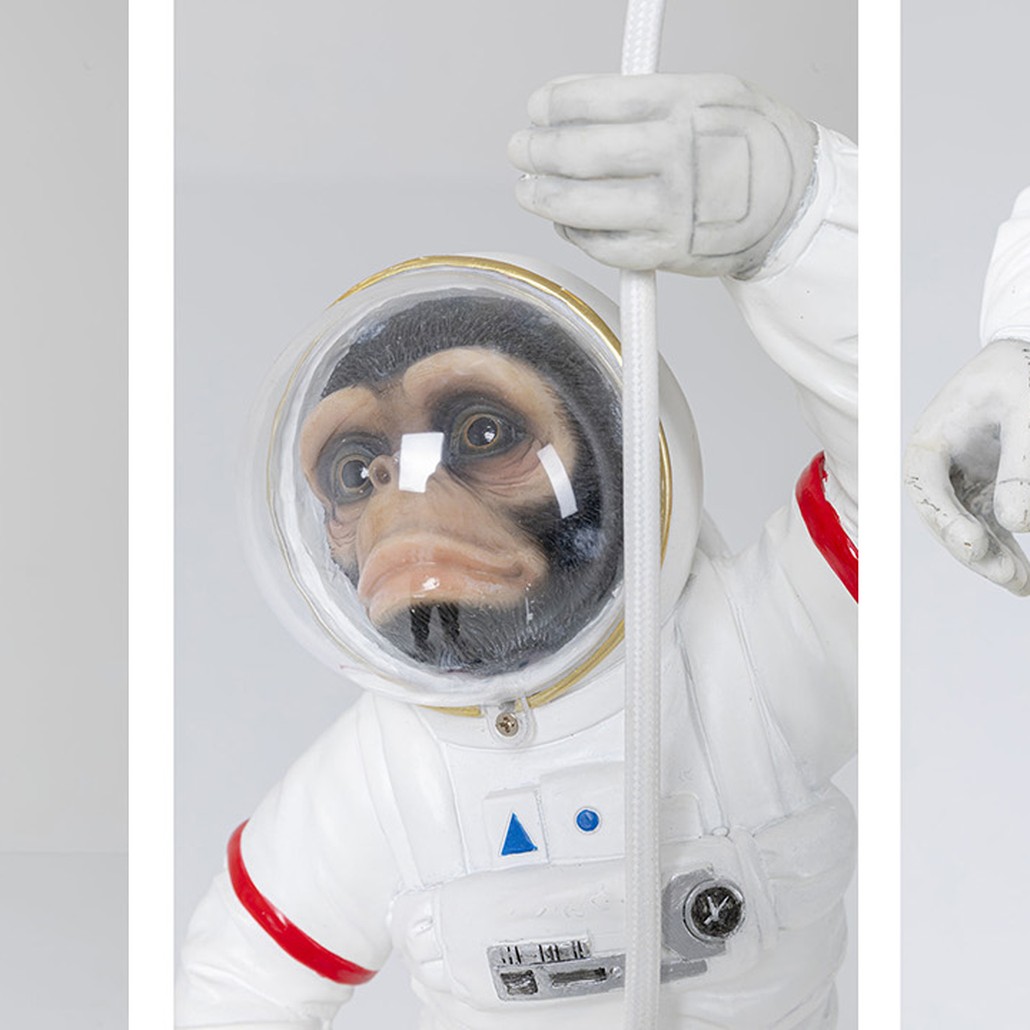 Люстра Space Monkey