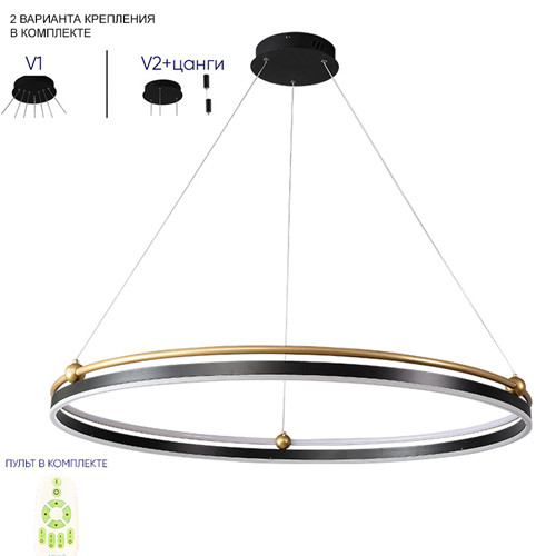 Люстра подвесная в виде тонкого черного кольца с золотыми акцентами Ring Horizontal