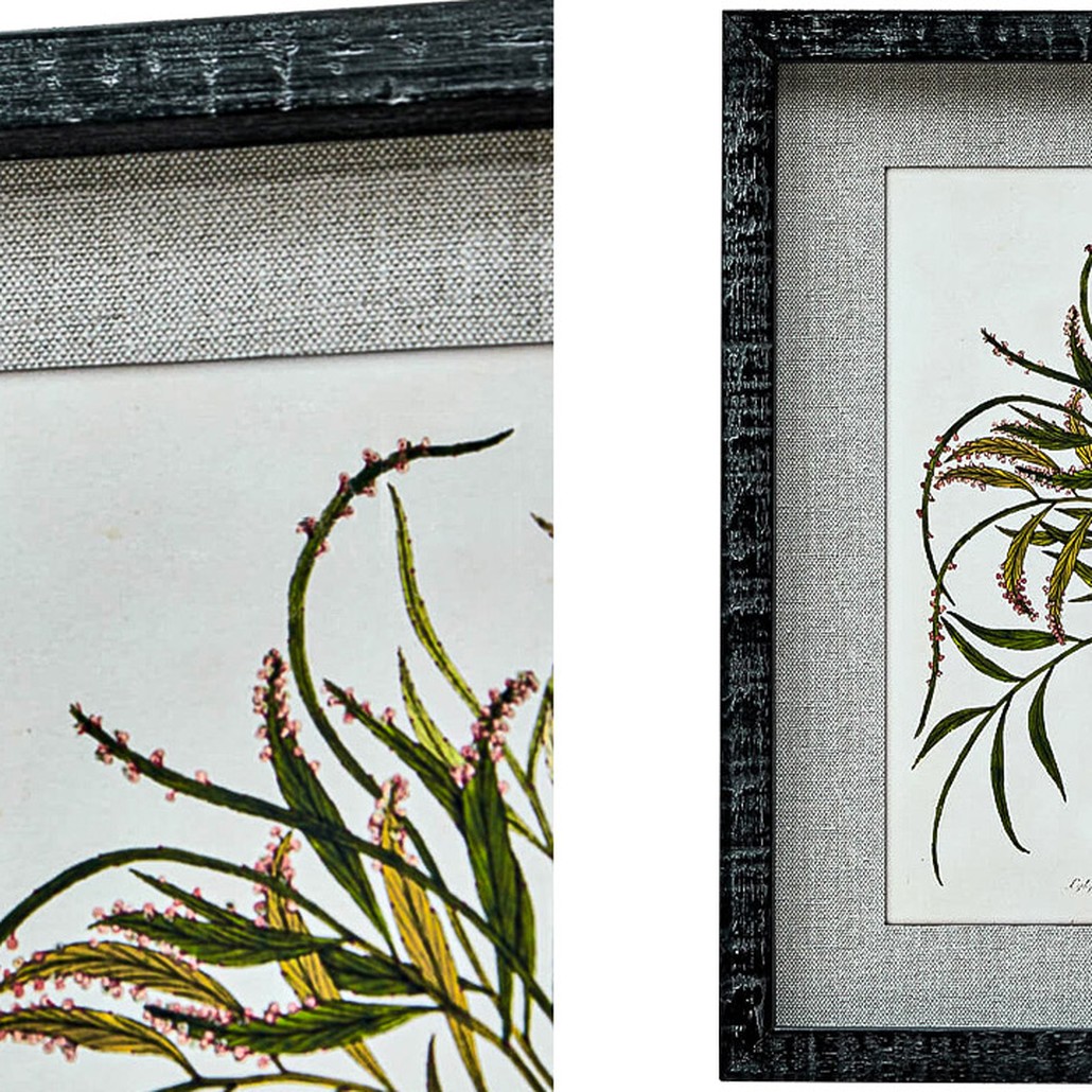 Набор постеров Herbarium Yellow Flowers