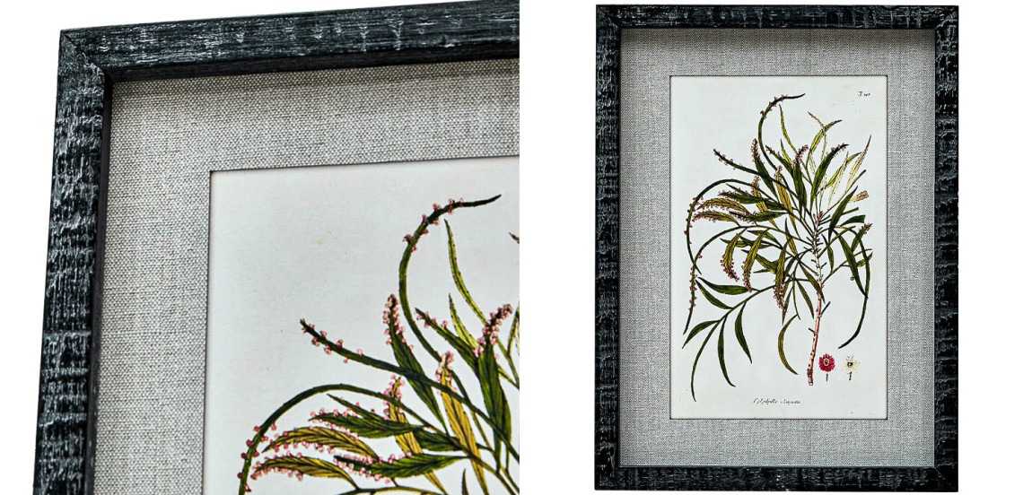 Набор постеров Herbarium Yellow Flowers