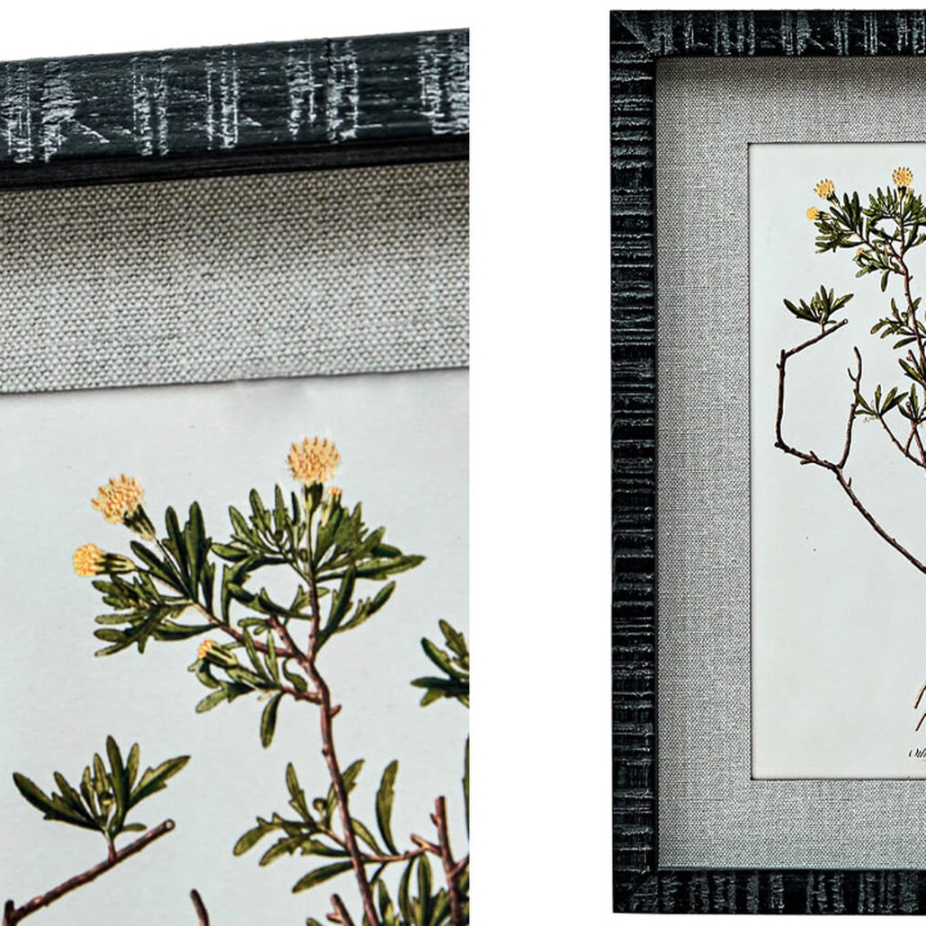 Набор постеров Herbarium Yellow Flowers