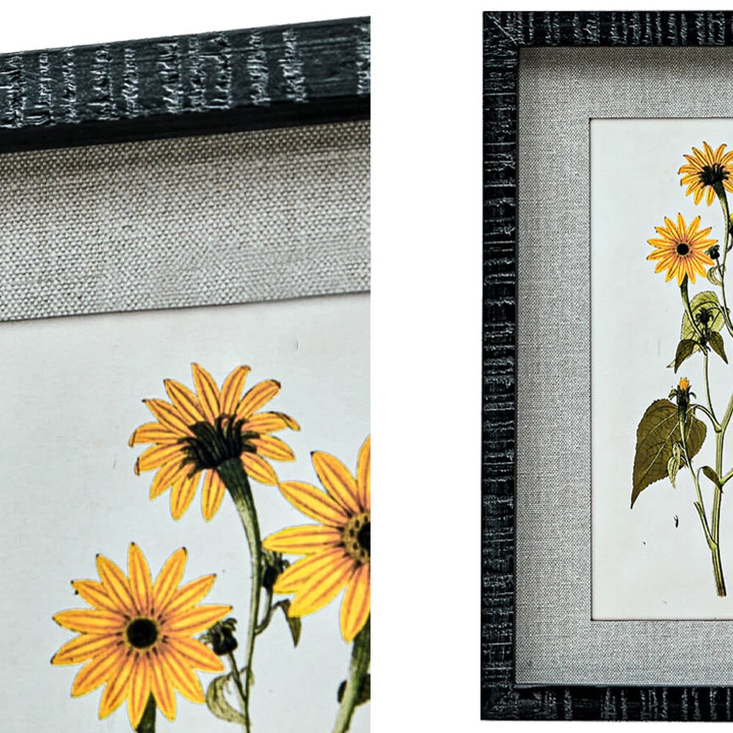 Набор постеров Herbarium Yellow Flowers