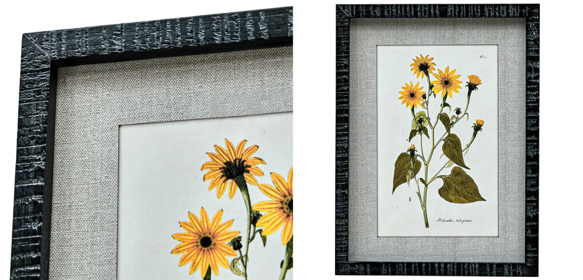 Набор постеров Herbarium Yellow Flowers