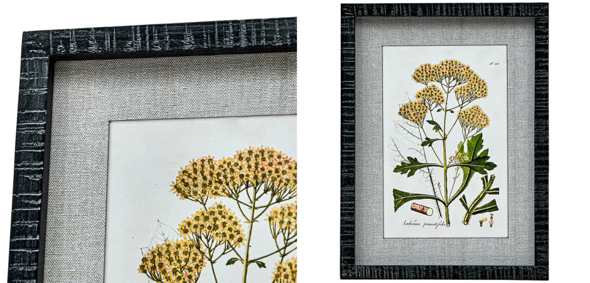 Набор постеров Herbarium Yellow Flowers