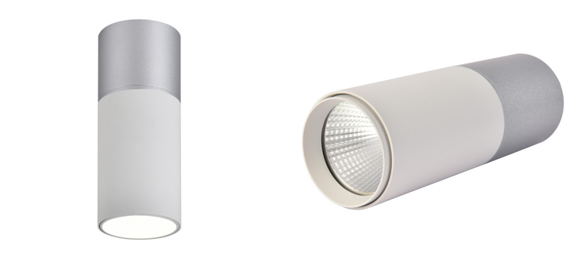 Накладной светодиодный спот Delightfull White&Silver