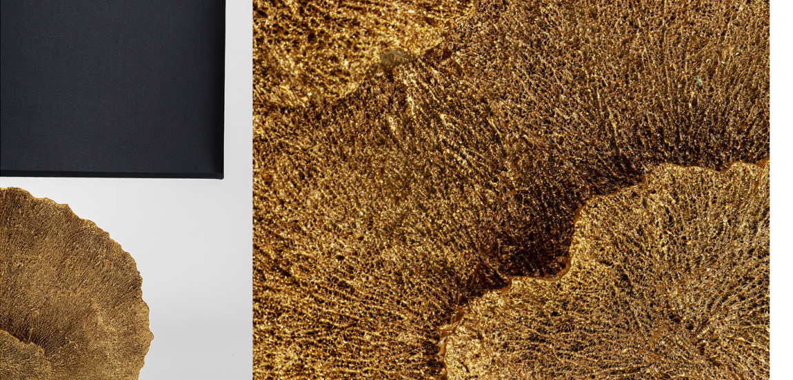 Настольная лампа Golden Coral