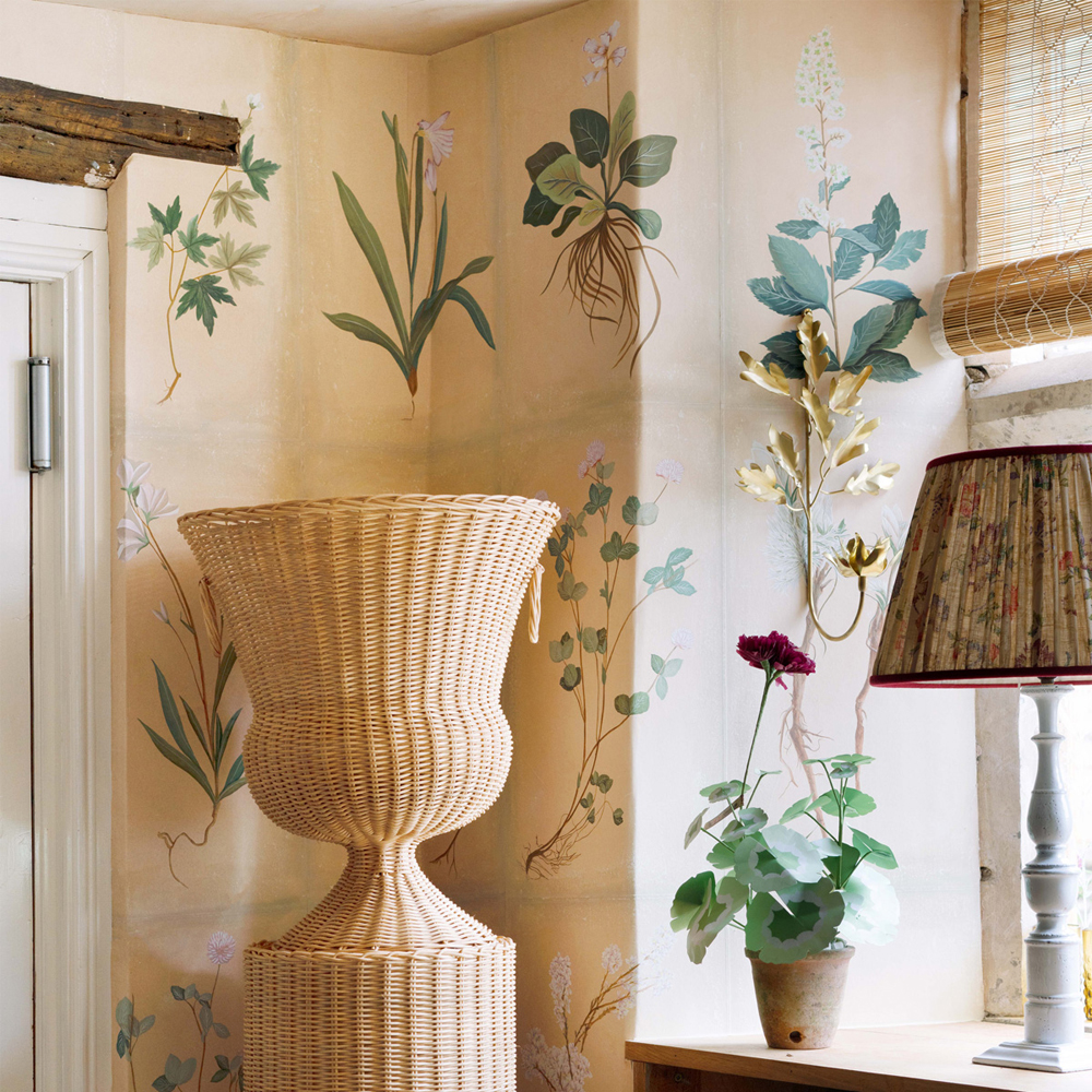 Обои ручная роспись Botanical Studies Cutter colourway