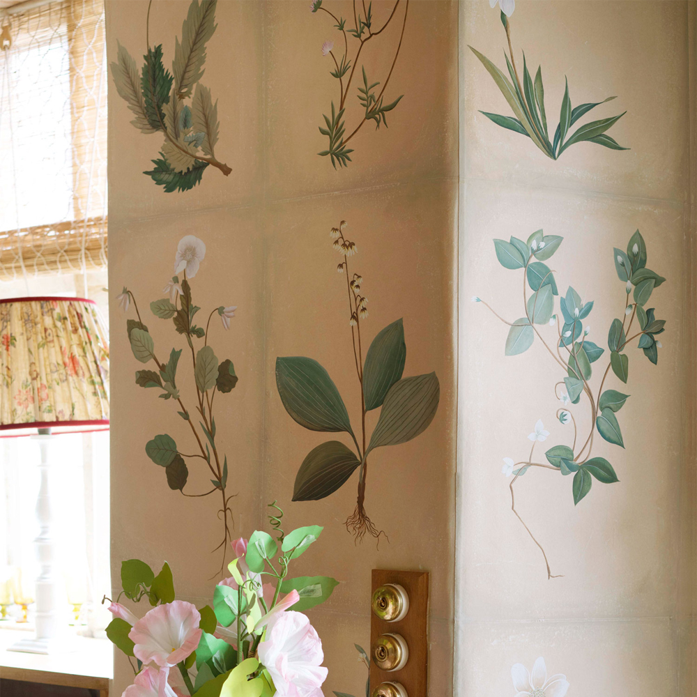 Обои ручная роспись Botanical Studies Cutter colourway