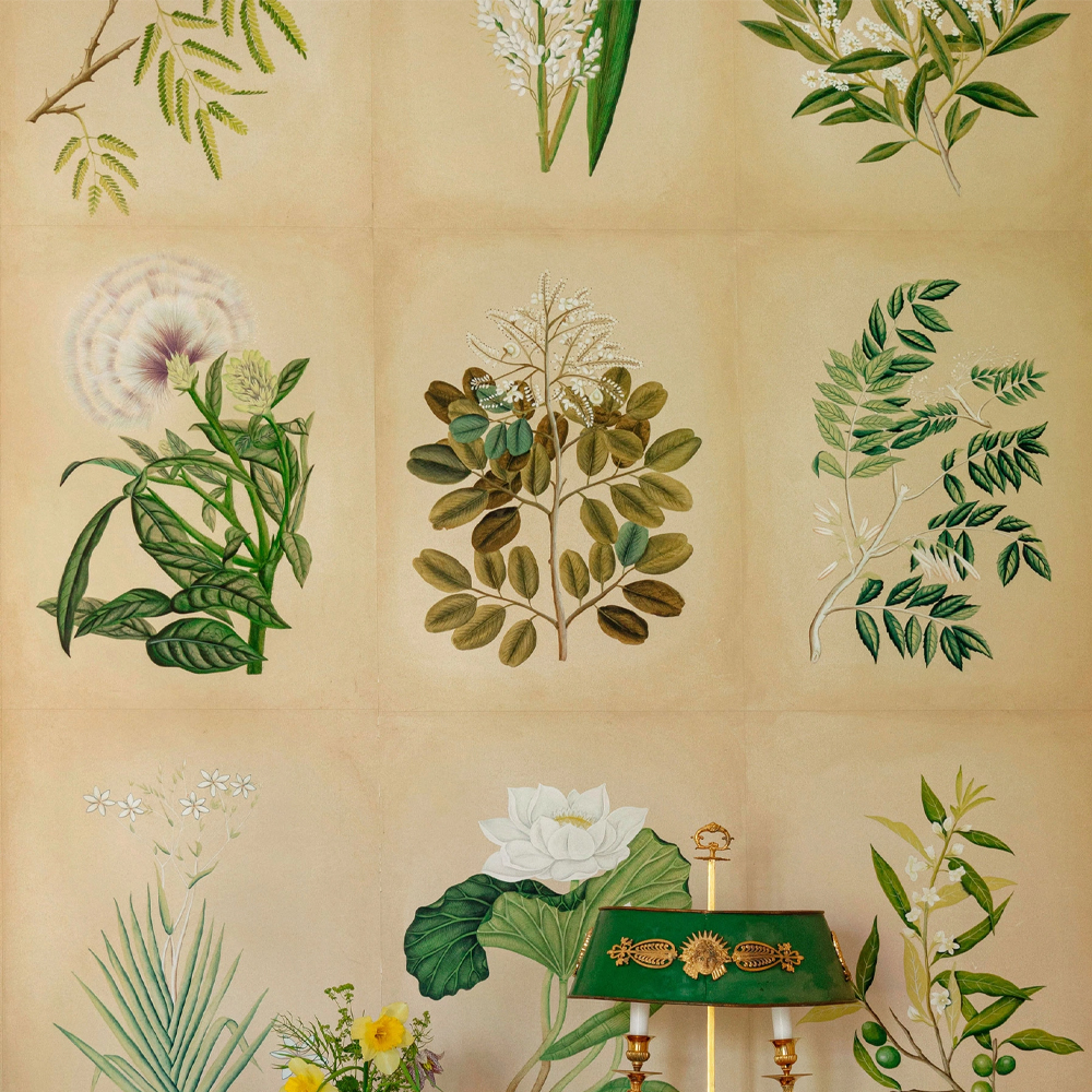 Обои ручная роспись Botanical Studies Linnaeus colourway