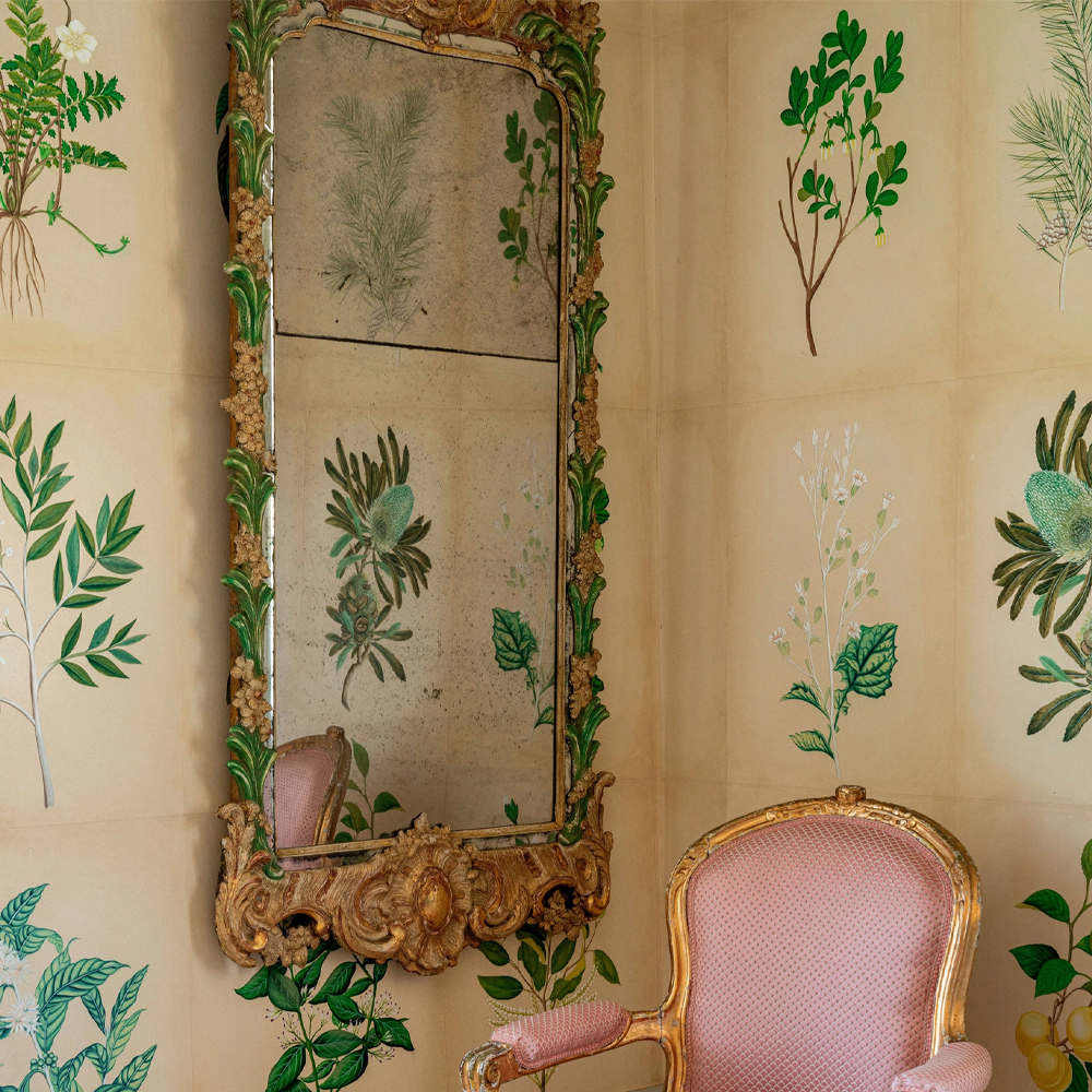 Обои ручная роспись Botanical Studies Linnaeus colourway