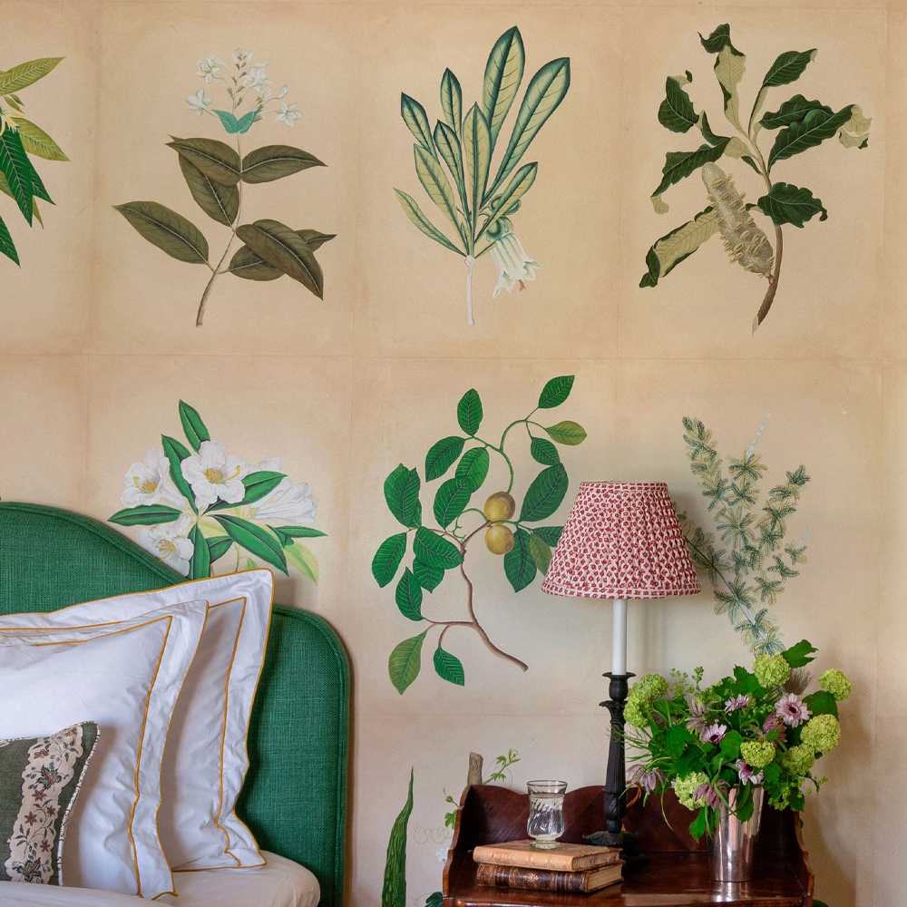 Обои ручная роспись Botanical Studies Linnaeus colourway