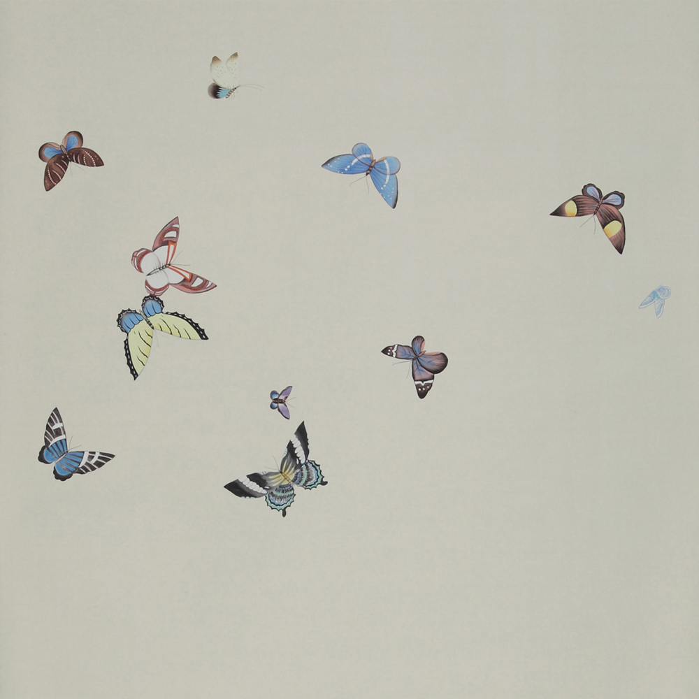 Обои ручная роспись Butterflies Icarus on Rose Shadow metallic silk