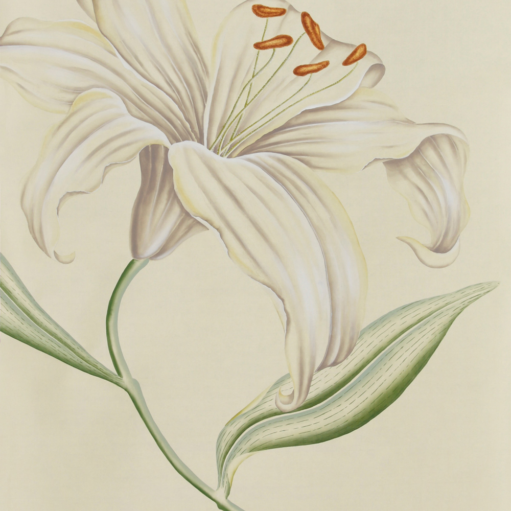 Обои ручная роспись Lilium Special Colourway on Ivory dyed silk