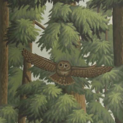Обои ручная роспись Redwoods Colourway SC-281 on scenic paper