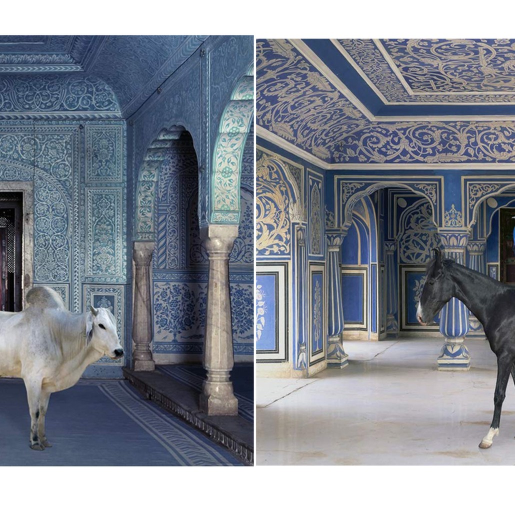 Очень редкое коллекционное издание KAREN KNORR INDIA SONG
