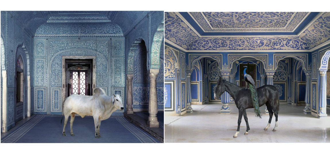 Очень редкое коллекционное издание KAREN KNORR INDIA SONG