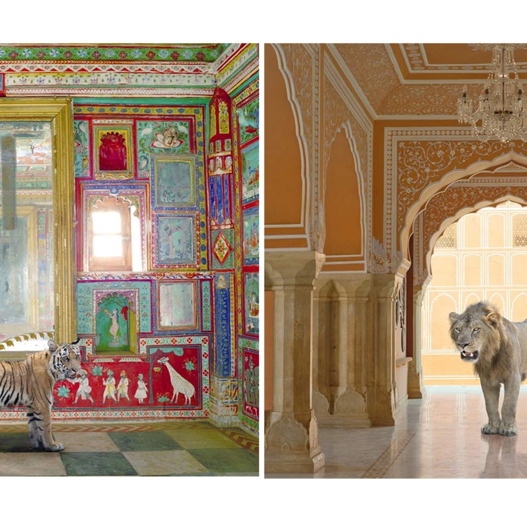 Очень редкое коллекционное издание KAREN KNORR INDIA SONG