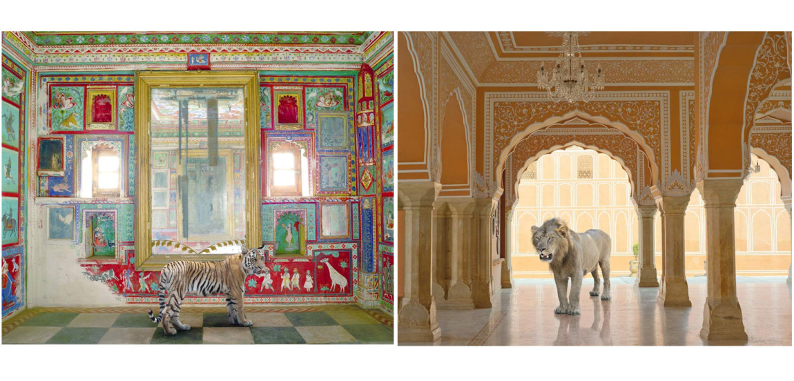 Очень редкое коллекционное издание KAREN KNORR INDIA SONG
