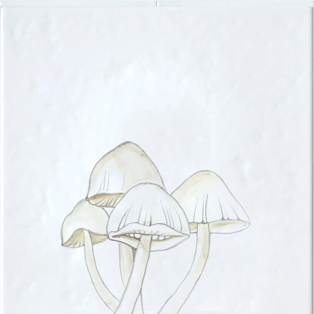 Плитка с узором Поганки