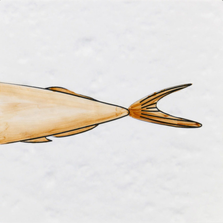 Плитка с узором Рыба Русалка