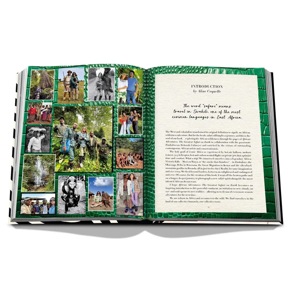 Подарочнный коллекционный фото альбом AFRICAN ADVENTURES NEW 2023 ASSOULINE HC UNBELIEVABLE ILLUSTRATIONS Safari