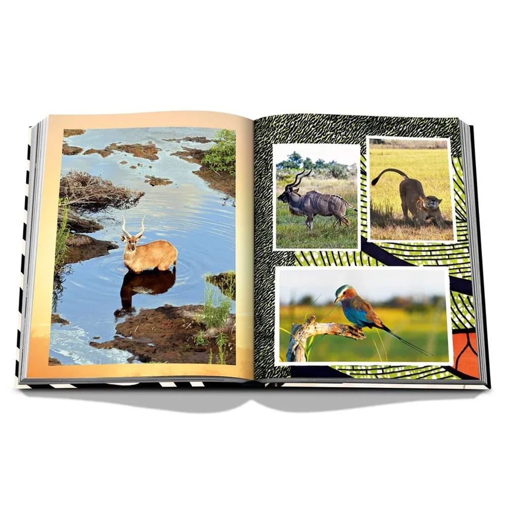 Подарочнный коллекционный фото альбом AFRICAN ADVENTURES NEW 2023 ASSOULINE HC UNBELIEVABLE ILLUSTRATIONS Safari